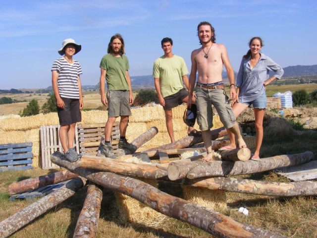 Members of chitik.com